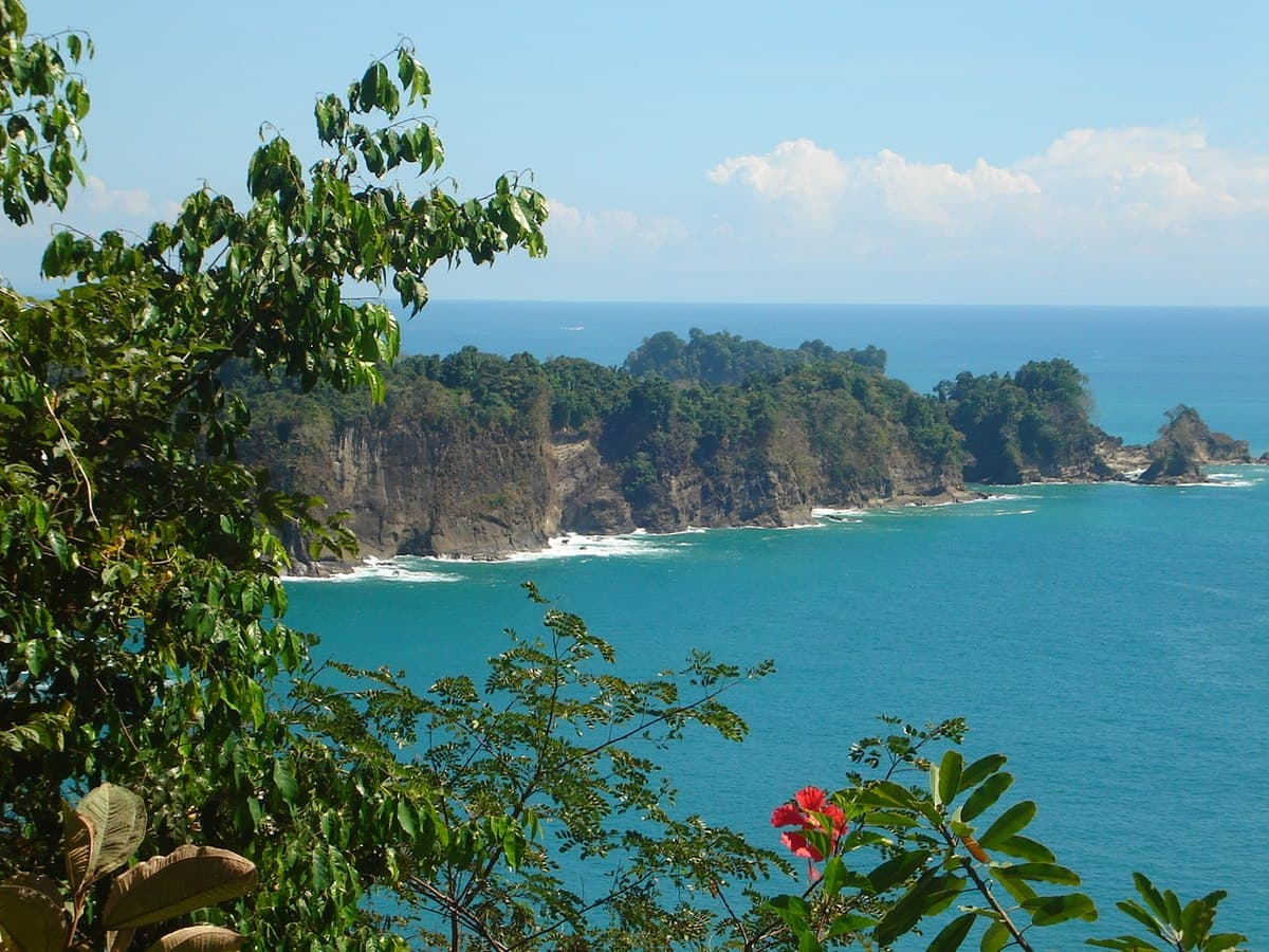 Senderos ocultos y playas secretas del Parque Nacional Manuel Antonio en Puntarenas