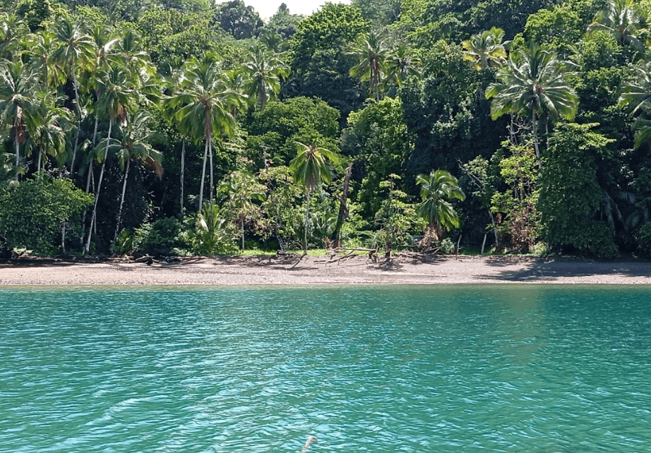 Cabinas Golfo Aventuras imagen 5