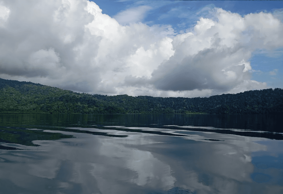 Cabinas Golfo Aventuras imagen 5