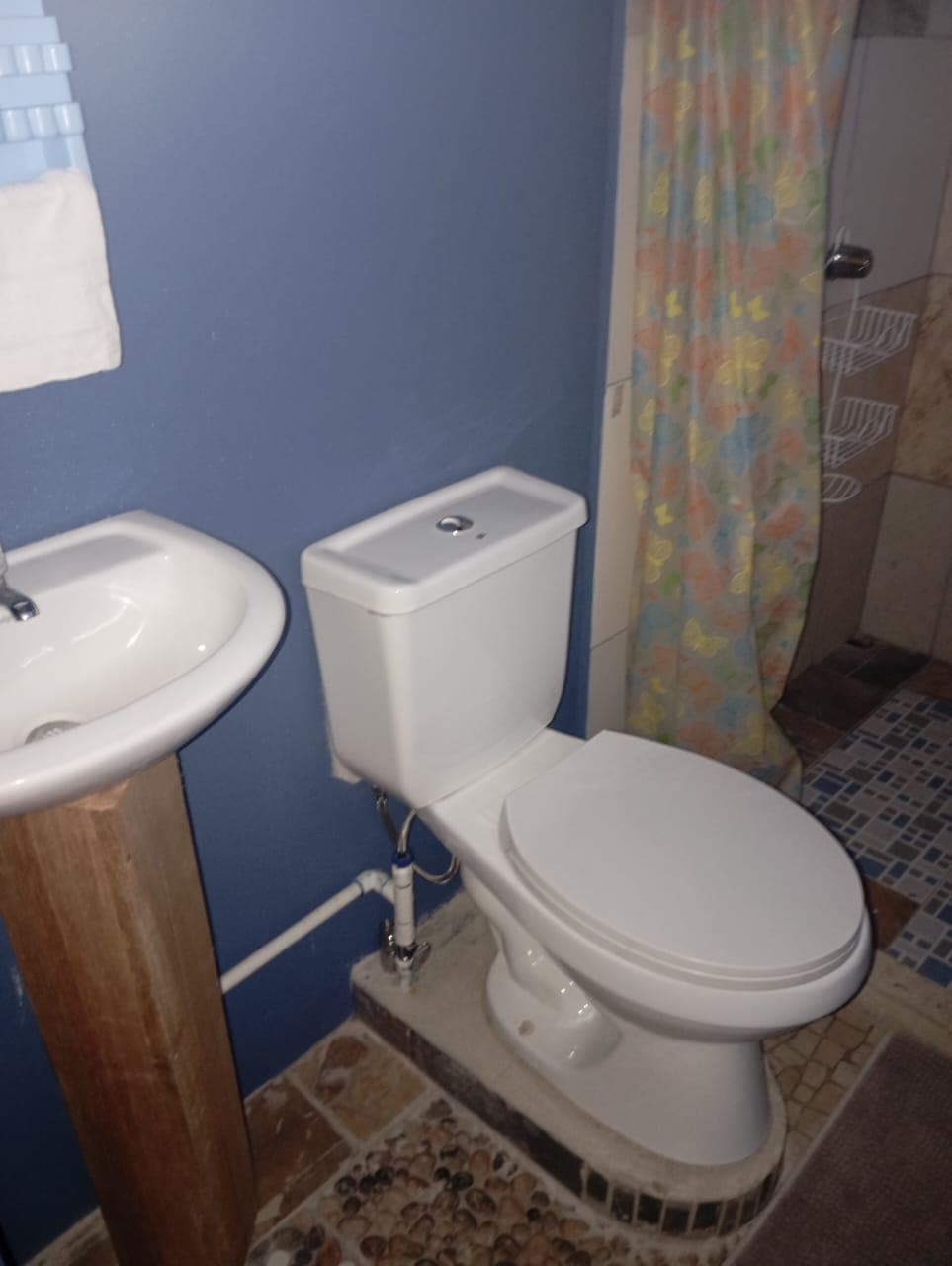 Cabina 4